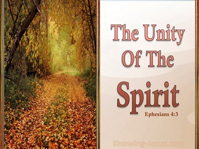 Ephesians 4:3 The Unity Of The Spirit (orange)